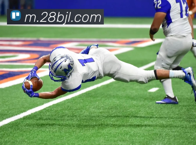 在线百家乐平台生态图